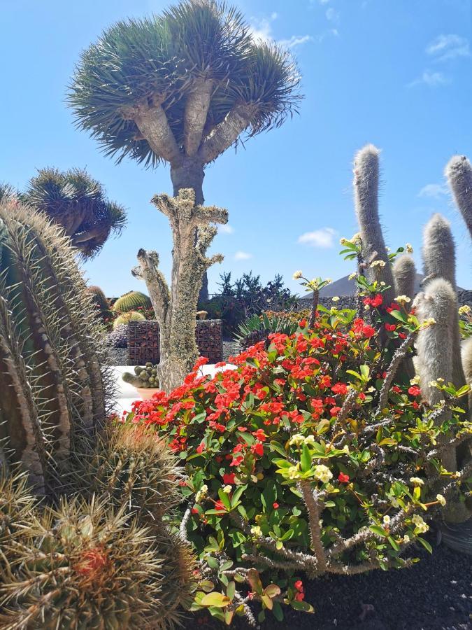 Los Dragos Masdache Buitenkant foto